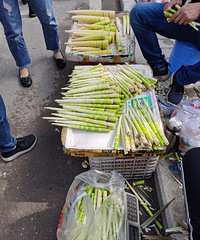 ��������Ե��Ļ������������棬��ӣ�ң�Ĩ���