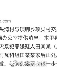 木里火灾系11岁男孩点燃松针引发,这代价也太大了