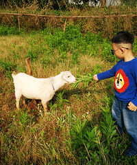 �Ҿ�Ȼ�ҵ���һ�����٣����Ҳ�10��һ���ժӣ�ҵĵط���