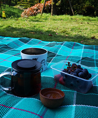 �Ա���4���տ�Ұ���ĵط���˵˵ÿ���ط��������ư�