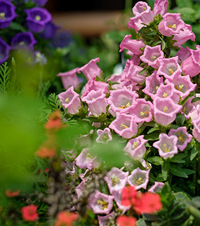 34ƽ�Ĵ�¶̨������԰������3���Ǿޱǽ̫׳����