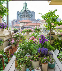 34ƽĴ¶̨԰3Ǿޱǽ̫׳