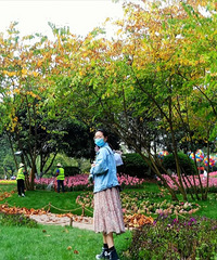 �������ŵĻ�԰������һ�Ķ��Ǵ�Ƭ