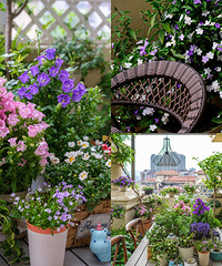 34ƽĴ¶̨԰ֻҪ2þܱ