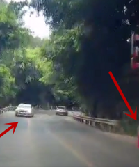 ���������꣡��ζ���ˣ��´ο��ܾ�û��ô�õ�������......