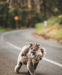 άȨ���ѣ��ٲý��Ҫ�ȶ�ã���˾����ְ�Ÿ�������