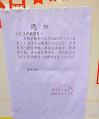 整个人都不好了!三个月没开学,学校宿舍变鼠窝