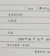 江歌母亲以生命权纠纷为由起诉刘鑫