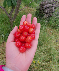 ȥժӣҹȻ٣ִ30һﲻҪ԰