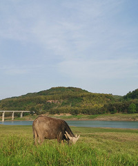 ¶Ӫ��Ұ�����տ���õ�������Ȼ������õ�����