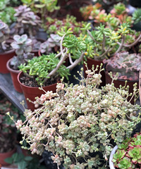 ������������¿��Ļ��У��ҵ�������Ĵ��죡