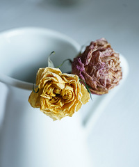 ���ʽ��̨Ҳ�����赲�ֻ��ݣ�ɹ����̫��������������