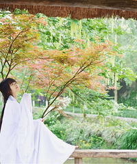 ��������Ĺ�԰�ʺ����ޡ��ܲ�������