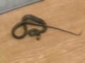 ���룡������������