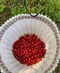 ɽժӣң˳·ԵʳҪ̫