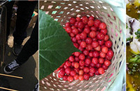 ժӣֻҪ10һܵͻBBQ