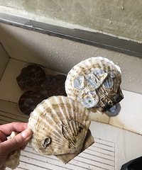 ��������İᵽ�������ˣ�������ȥ��̽��һ��