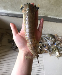 ��������İᵽ�������ˣ�������ȥ��̽��һ��