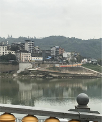 ȥˮ�����������ߣ����ֶɹ乫԰����ɭ��