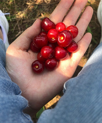 �ɽժ�������ϳ˵�ӣ�ң����ҳ�Ѽ