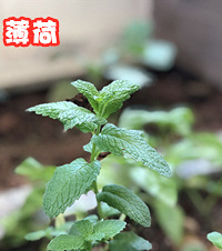 աƹϡҵ̨߲˺ϣժֳ