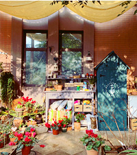 ơֵ500ƽӢ׻԰԰̫гɾ͸!