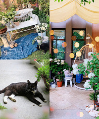 ѧִ꣬500ƽӢʽִ绨԰