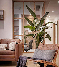 125ƽʽԼҵ鷿ĸӼ̫