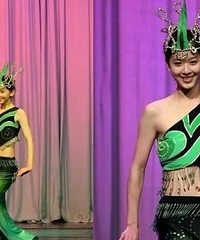 �������ѧ��������ع⣬�崿�ɰ�