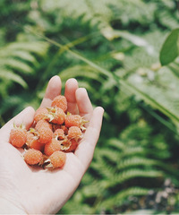 һСʱ͵ũտ¶Ӫժˣˮ