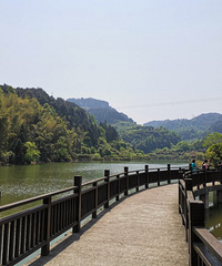 江津登高望远,顺便摘个乌皮樱桃,感受浓烈的乡土气息