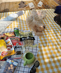 ���˵���̨�����ݲݣ��ҵ���̨�ԳԺȺ�