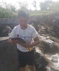 ץ㣬տСѼӣũҲˣˣһÿ