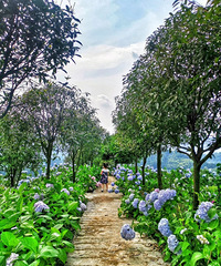 ÿ������������㿴��ͬ�Ļ���