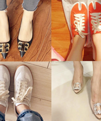 wanghongĵЬ˶,Ьǰؿ