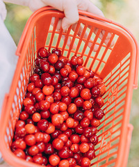 ɽӣ㳡ܿȺҵһʺϲժյĵ