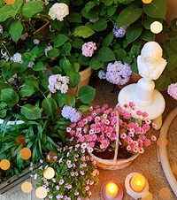 ơֵ500ƽӢ׻԰԰̫гɾ͸!