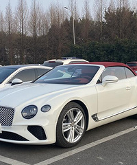 ���ֳ���������ʱ���о��У�û�оͺ������ˣ�����ŷ½GT�����