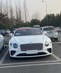 ���ֳ���������ʱ���о��У�û�оͺ������ˣ�����ŷ½GT�����