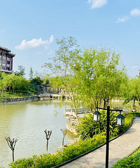 �ϴ��ķ�Ž֣�������ĩ�ܱ������к�ȥ��