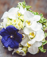 ��ĸ��ȥ��ҽԺ���п��Լ�������ǿ�󣬼���ȴ����ȥ