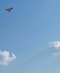 �ɽժӣ�����м�