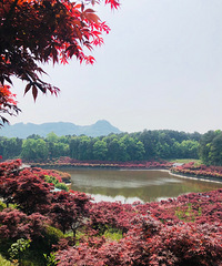 квƺй۵ҰһΣ̫ʺϴʱ