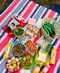 �к��в�ƺ�������й��۵�Ұ��һ���Σ�����̫�ʺϴ�ʱ����