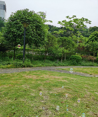 ץס�����β�ͣ�����ط��������ʿ���̫�����