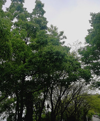 ҵһСµĴ򿨺õطз糵