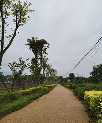 ĥ̲ʪع԰һ԰ǰȥΧ̽һ