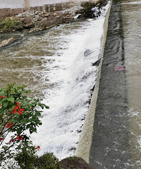 ��ĥ̲ʪ�ع�԰��һ��԰����ǰȥ��Χ��̽һ��