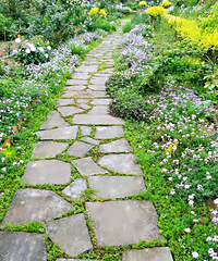 Ѱ��һ�����µ�С�ڻ��ԣ������򻨶�OK