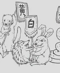 ħ������lingyi�¼�Ƶ���ı���